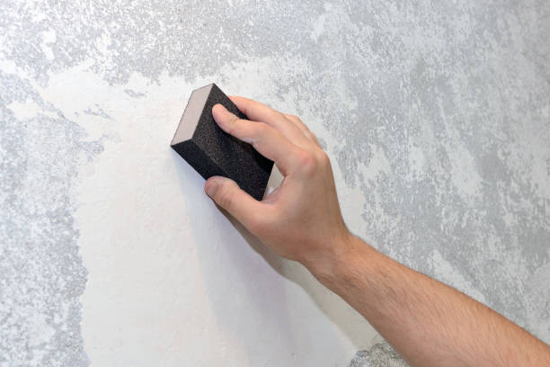 Mold Removal for HVAC Installations in Alamo, TN
