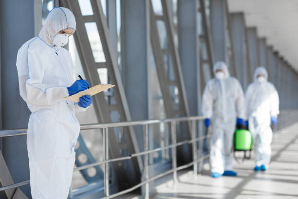 Best Post-Remediation Verification Testing  in Alamo, TN