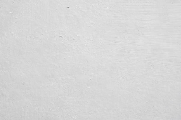 Best Attic Mold Removal  in Alamo, TN