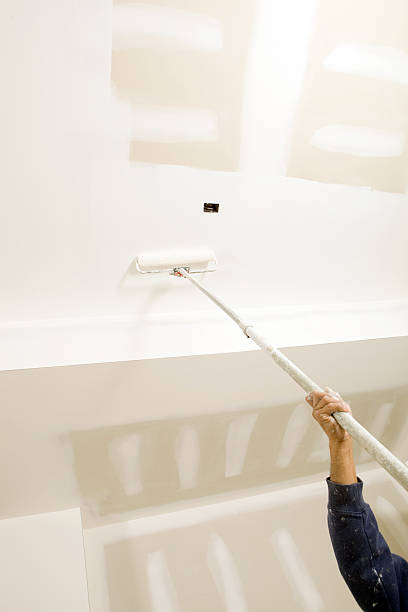 Best Forensic Mold Investigation  in Alamo, TN