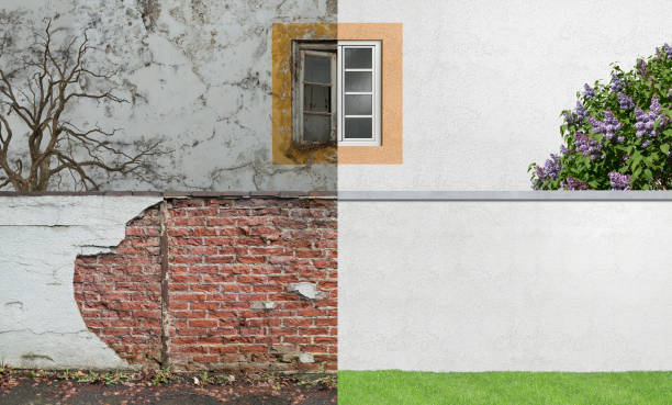  Alamo, TN Mold Removal Pros