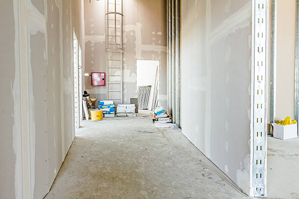 Trusted Alamo, TN Mold Removal Experts