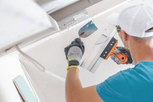 Mold Remediation for Vacation Homes in Alamo, TN